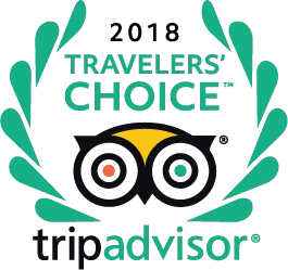 TripAdvisor Travelers' Choice Award Winner - SGMYTAXI C&J Reviews.