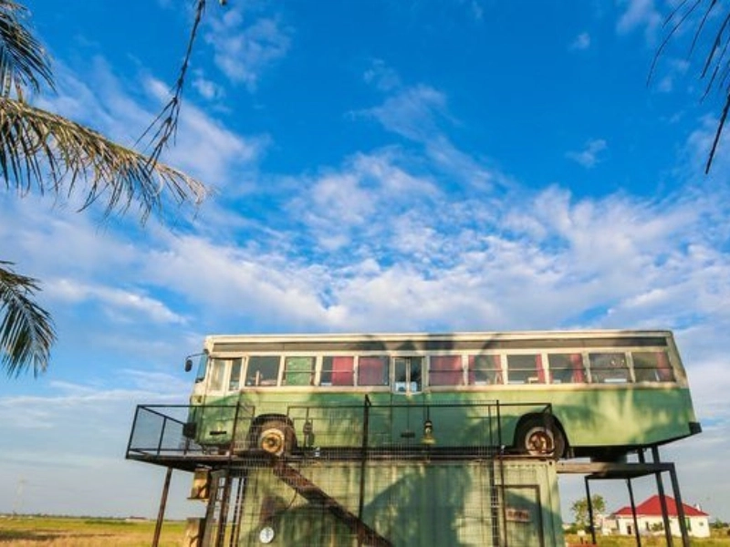 Beautiful Sekinchan paddy fields day trip from Singapore in a private 7-seater.