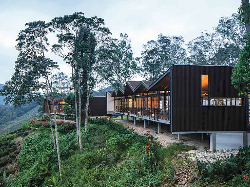 The unique elevated architecture of BOH Sungei Palas Tea Centre, offering panoramic valley views you can comfortably enjoy on your Cameron Highlands day trip.