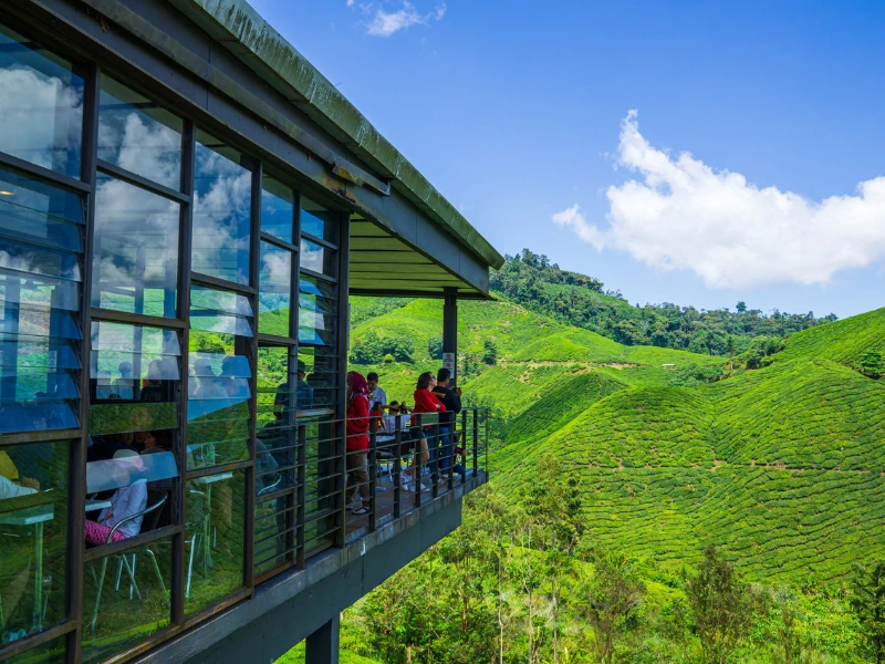 Tourists relaxing with warm tea and stunning green valley views at the BOH Tea cafe, a peaceful moment to enjoy during your flexible Cameron Highlands day trip.