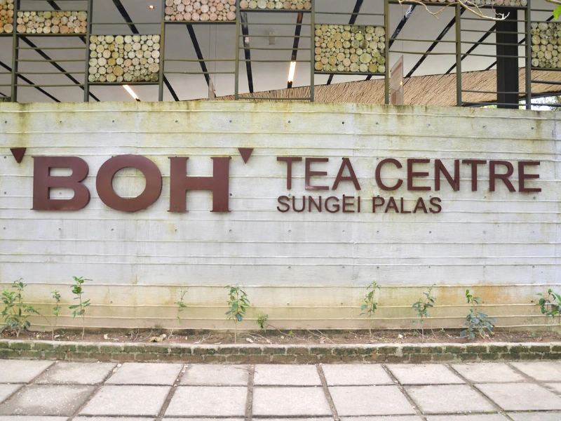 The stunning Sungei Palas BOH Tea Centre overlooking green valleys, a perfect spot to enjoy afternoon tea at your own pace during your Cameron Highlands day trip.