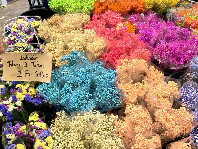 Colorful and affordable dried flowers at Kea Farm Market, a wonderful souvenir you can easily buy and transport safely in our Cameron Highlands day trip private car.