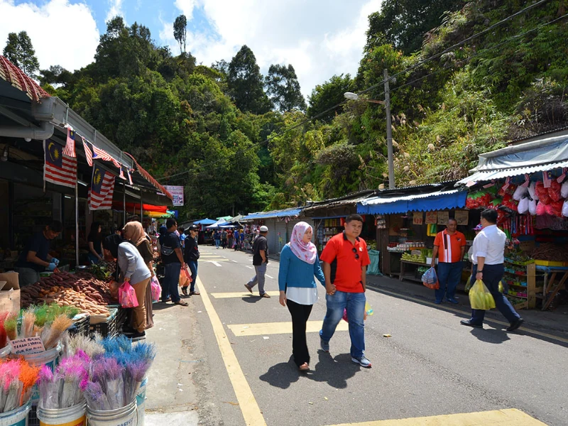 Tourists shopping for fresh local produce at Kea Farm Market, a must-visit spot you can enjoy without parking stress and heavy carrying on your Cameron Highlands day trip.