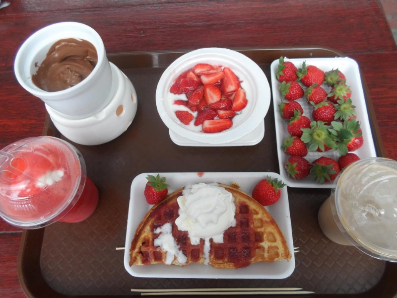 A feast of fresh strawberry fondue and waffles at Big Red Strawberry Farm, a sweet local treat your family can enjoy unhurried on your Cameron Highlands day trip.