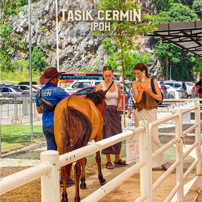 Feeding cute ponies at PonyTown in Tasik Cermin, a fun family-friendly activity you can enjoy without rushing on your custom Ipoh day trip.