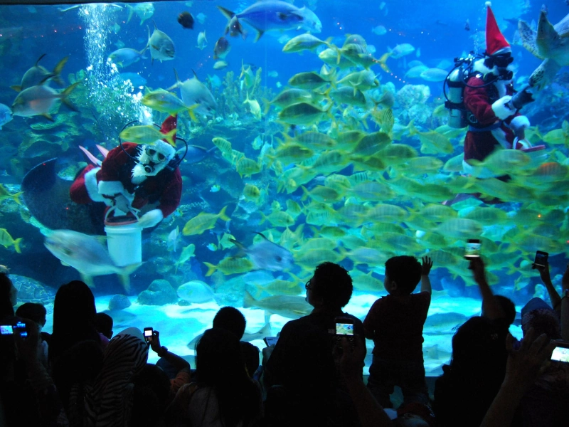 Santa Claus divers interacting with sea turtles and fish at Aquaria KLCC, a top family-friendly attraction for your Kuala Lumpur day trip private car tour.