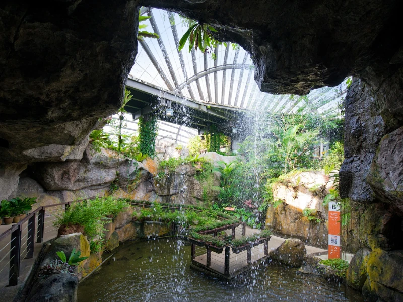The stunning Tiger Falls inside Entopia by Penang Butterfly Farm, a magical eco-park your family can visit comfortably with VIP transport on your Penang Day Trip private car.