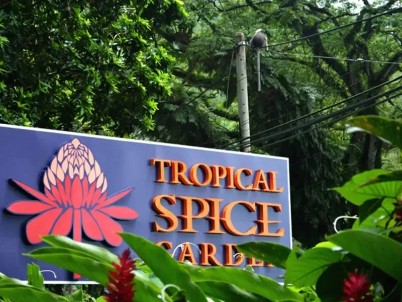 The lush entrance of Tropical Spice Garden in Teluk Bahang, an exotic nature retreat you can comfortably visit and cool down after in your Penang Day Trip private car.