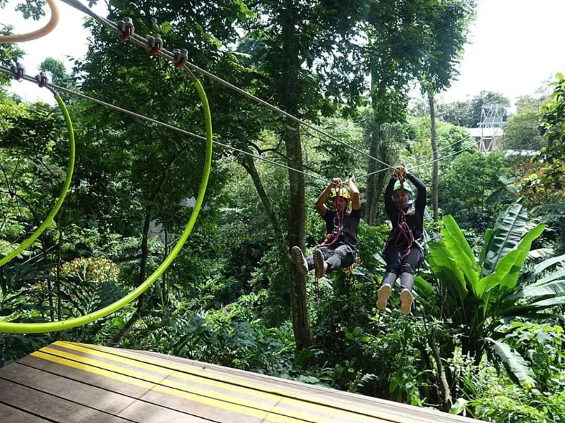 Tourist experiencing the thrilling Colugo Zip at The Habitat Penang Hill, an exciting adventure perfectly followed by a restful ride in our Penang Day Trip private car.