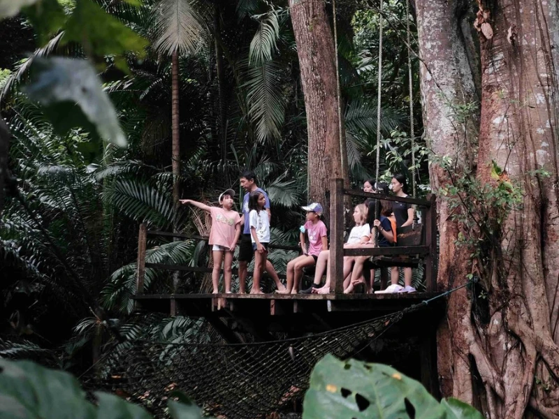 Families enjoying the relaxing jungle swing at Tropical Spice Garden, a lush nature spot you can explore with ease and AC comfort on your Penang Day Trip private car.