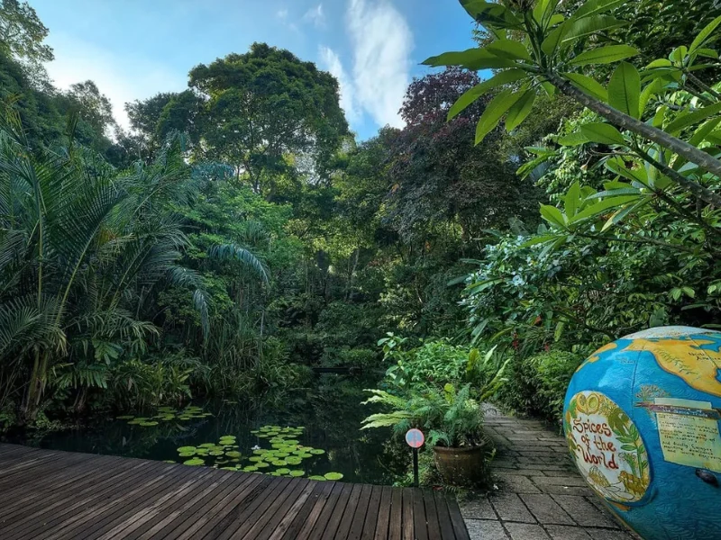 The lush green jungle pathways and serene pond inside Tropical Spice Garden, a relaxing nature walk perfectly followed by a cool, comfortable ride on your Penang Day Trip private car.