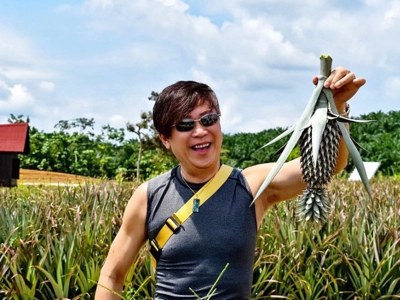 A happy tourist displaying a freshly harvested pineapple at Sky Ladder Pineapple Farm, an authentic agricultural experience to enjoy during your Port Dickson day trip private car tour.