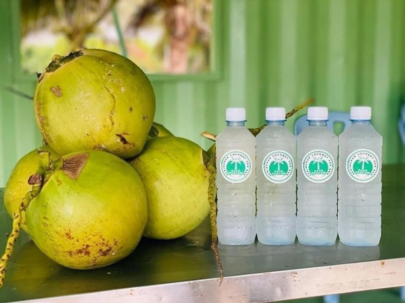 Fresh green coconuts and pure bottled coconut water, refreshing local drinks you can easily buy and carry with zero luggage hassle in your Sekinchan day trip private car.