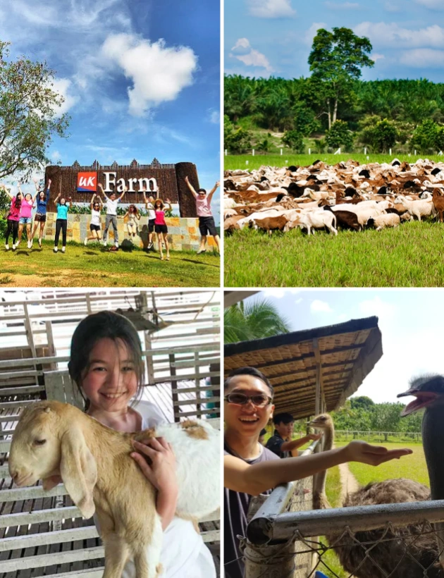 Refreshing direct private transfer to UK Farm for a Singapore to JB day trip.